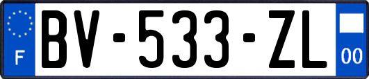 BV-533-ZL