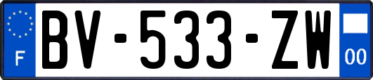 BV-533-ZW