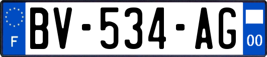 BV-534-AG