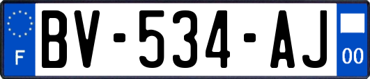 BV-534-AJ