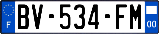 BV-534-FM