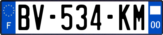 BV-534-KM