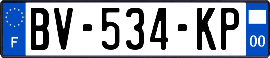 BV-534-KP