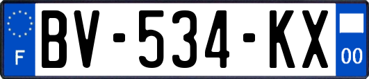 BV-534-KX