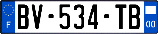 BV-534-TB