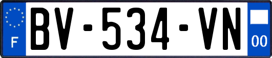 BV-534-VN