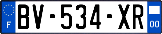 BV-534-XR