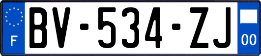 BV-534-ZJ