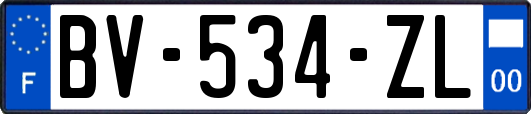 BV-534-ZL