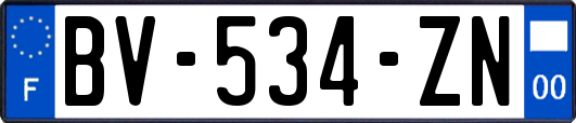 BV-534-ZN