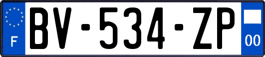 BV-534-ZP