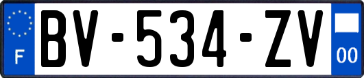 BV-534-ZV