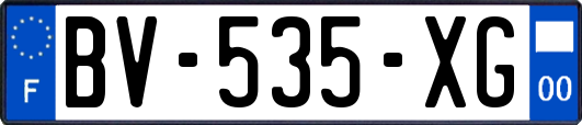 BV-535-XG
