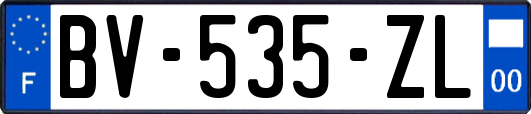 BV-535-ZL