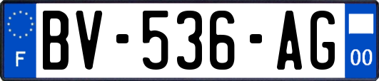 BV-536-AG