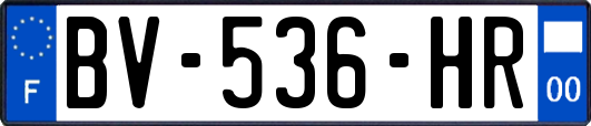 BV-536-HR