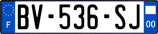 BV-536-SJ