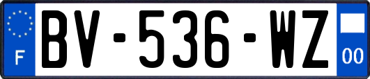 BV-536-WZ