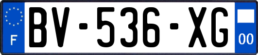 BV-536-XG