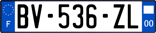 BV-536-ZL