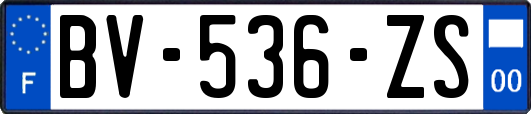 BV-536-ZS