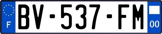 BV-537-FM