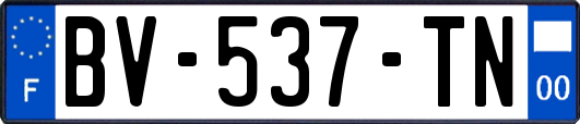 BV-537-TN