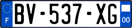 BV-537-XG