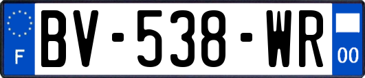 BV-538-WR