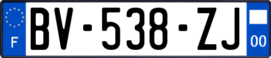 BV-538-ZJ