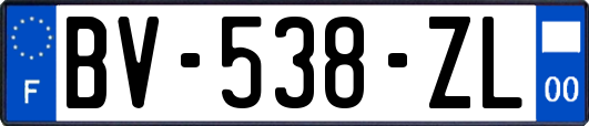 BV-538-ZL