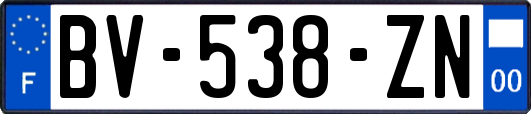 BV-538-ZN