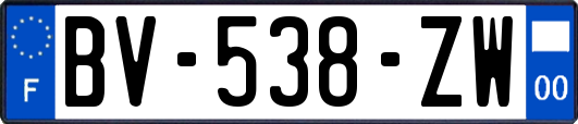 BV-538-ZW