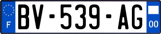 BV-539-AG