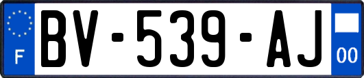 BV-539-AJ