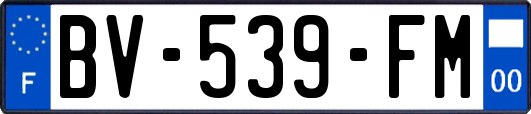 BV-539-FM