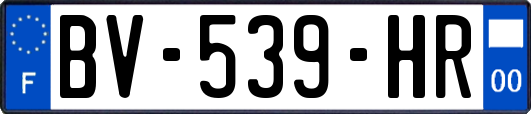BV-539-HR