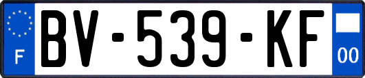 BV-539-KF