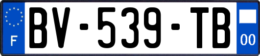 BV-539-TB