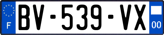 BV-539-VX