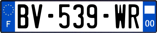 BV-539-WR