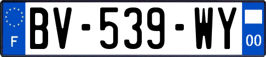 BV-539-WY