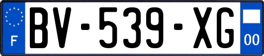 BV-539-XG