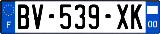 BV-539-XK