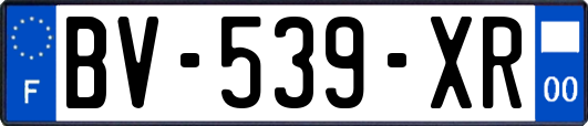 BV-539-XR