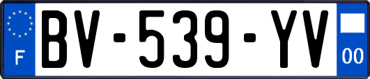 BV-539-YV