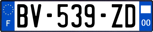 BV-539-ZD