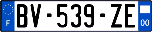 BV-539-ZE