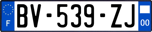 BV-539-ZJ