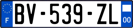 BV-539-ZL